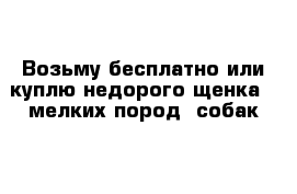 Возьму бесплатно или куплю недорого щенка   мелких пород  собак 